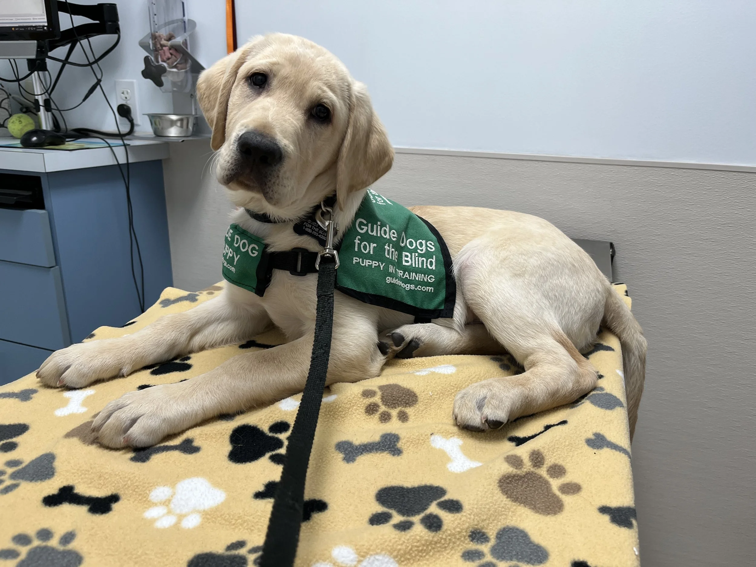 Club Outing: Irvine Spectrum