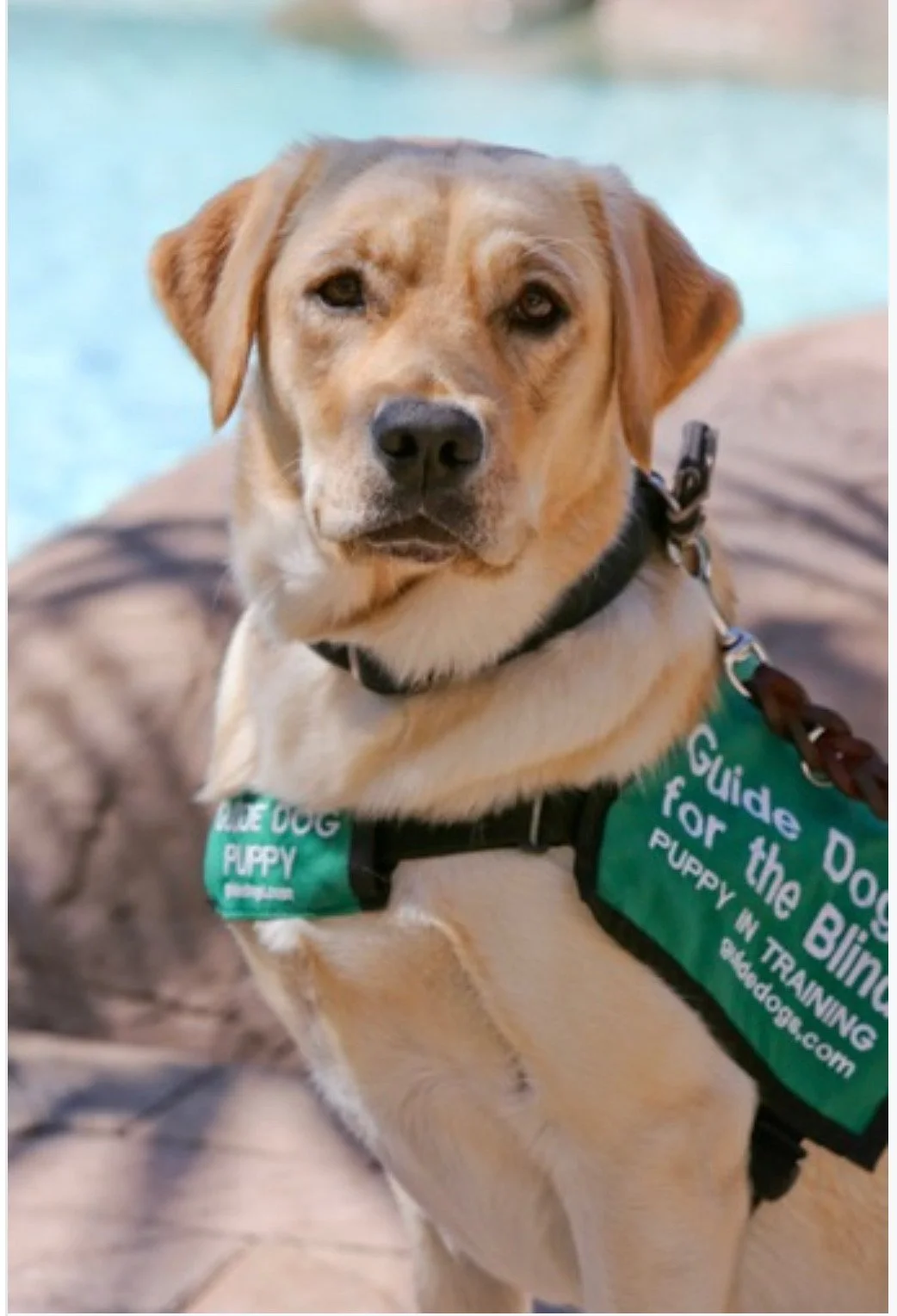 GDB Fun Day - Boring, OR