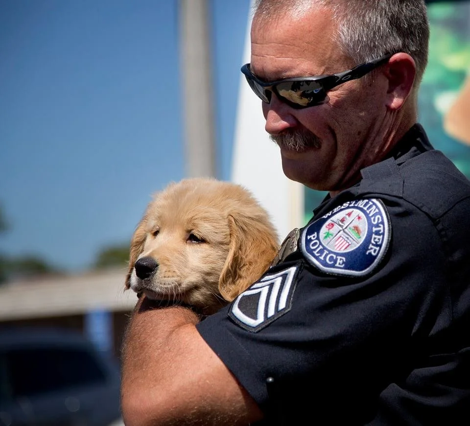 Puppy Truck
