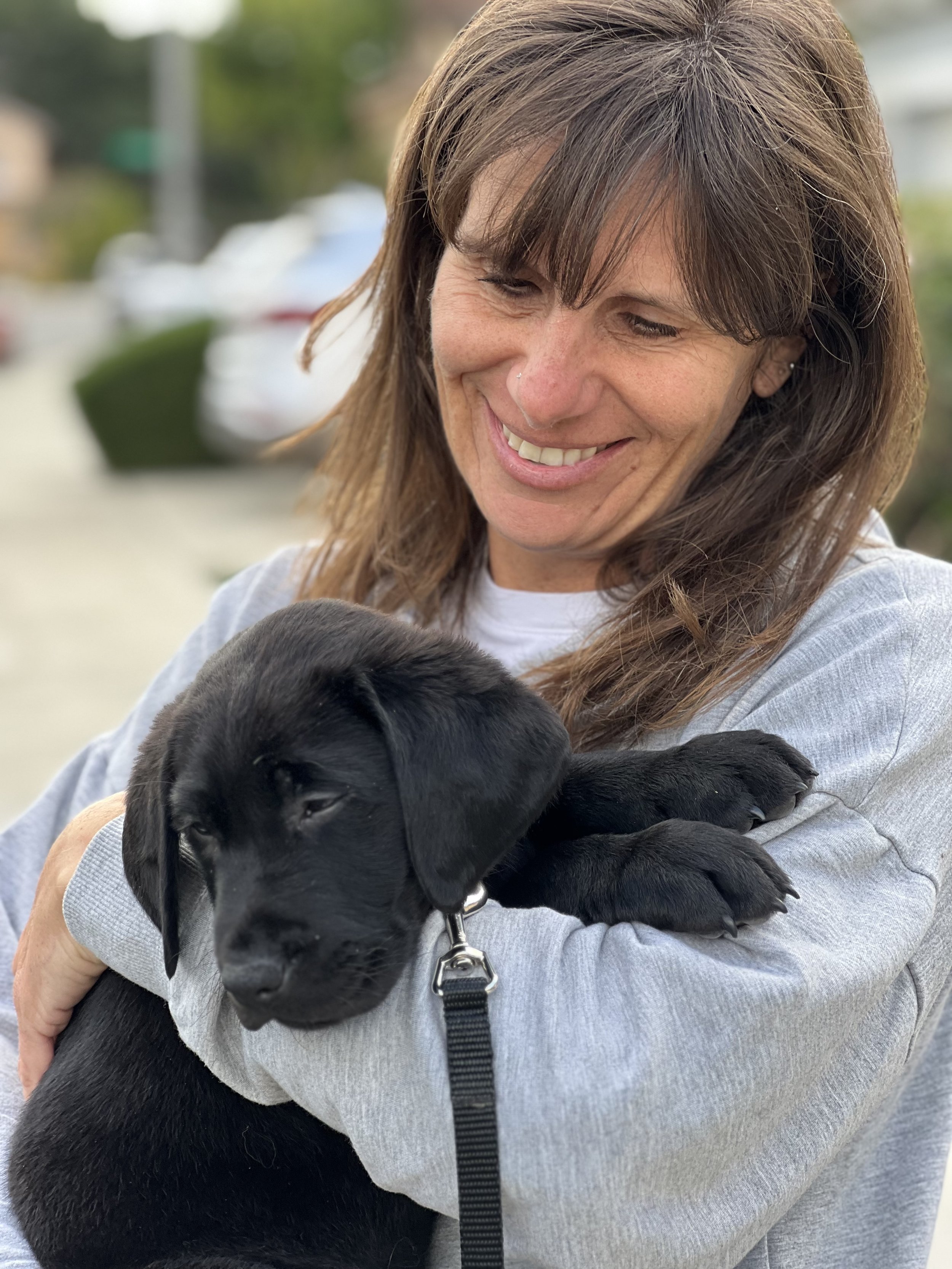 Puppy Sitters — Guide Dogs for the Blind Laguna Niguel Puppy Raisers