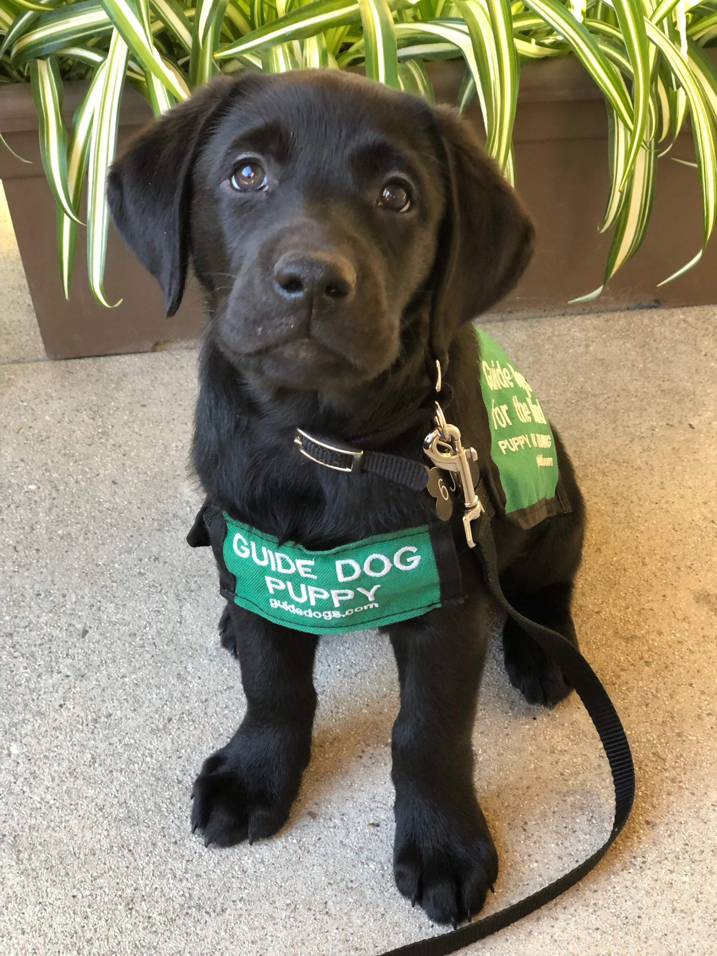 Club Outing: Boomers, Irvine Mini-golf