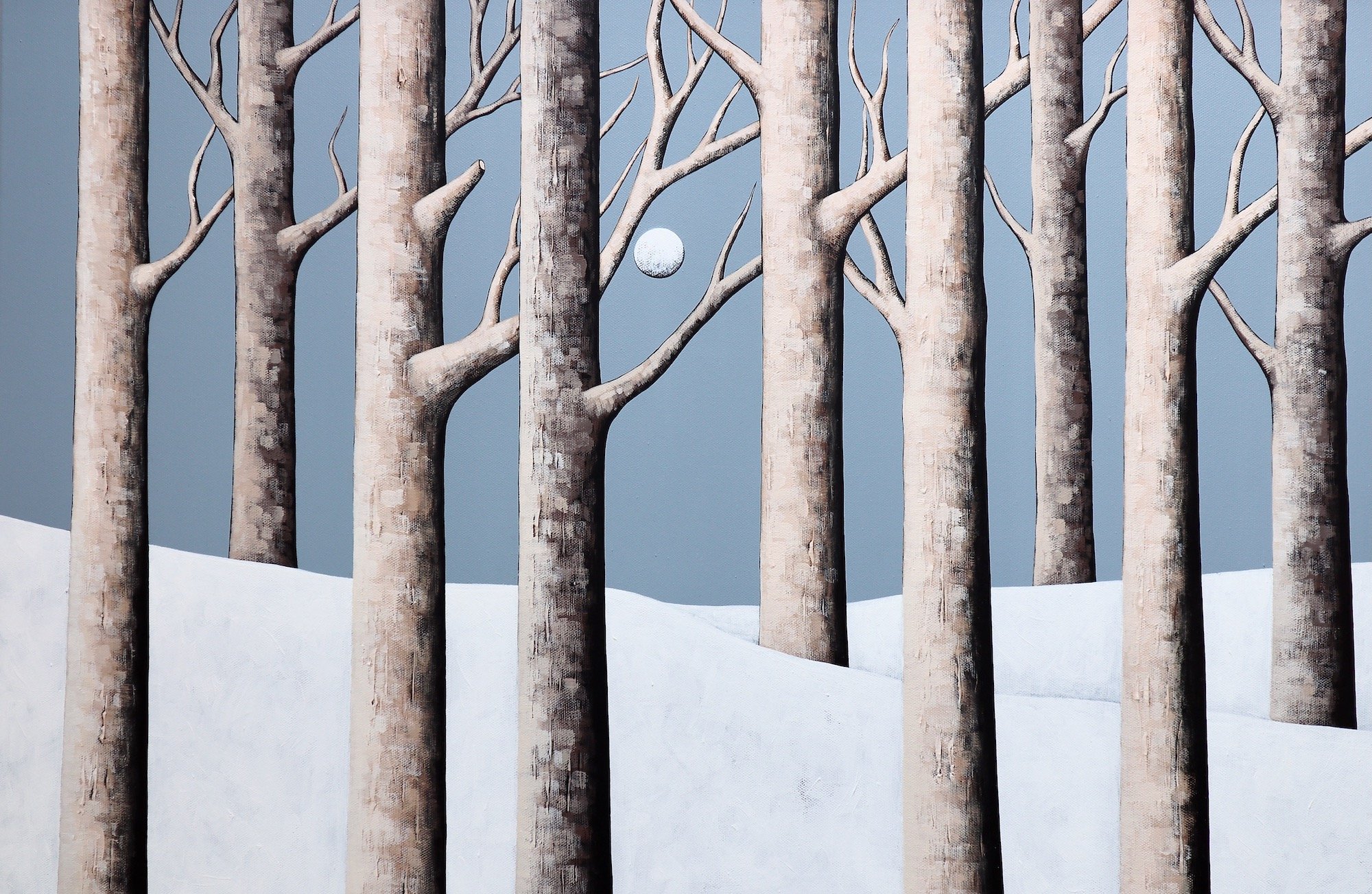 Winter in the Woods