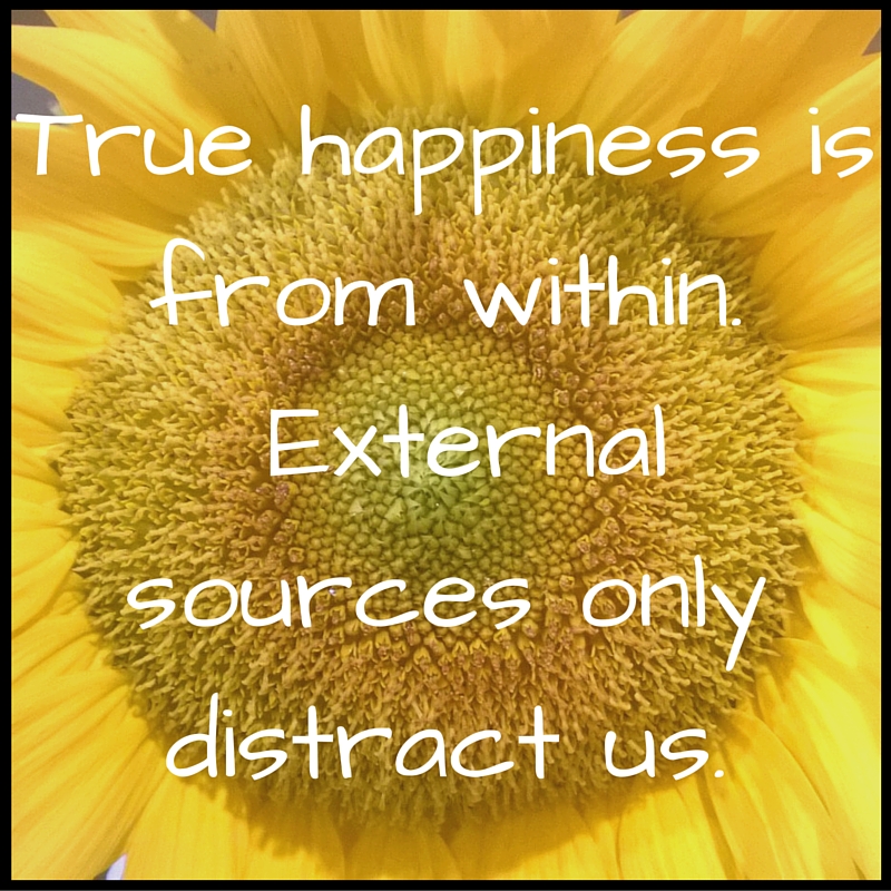 True happiness is from within. External sources only distract us..jpg