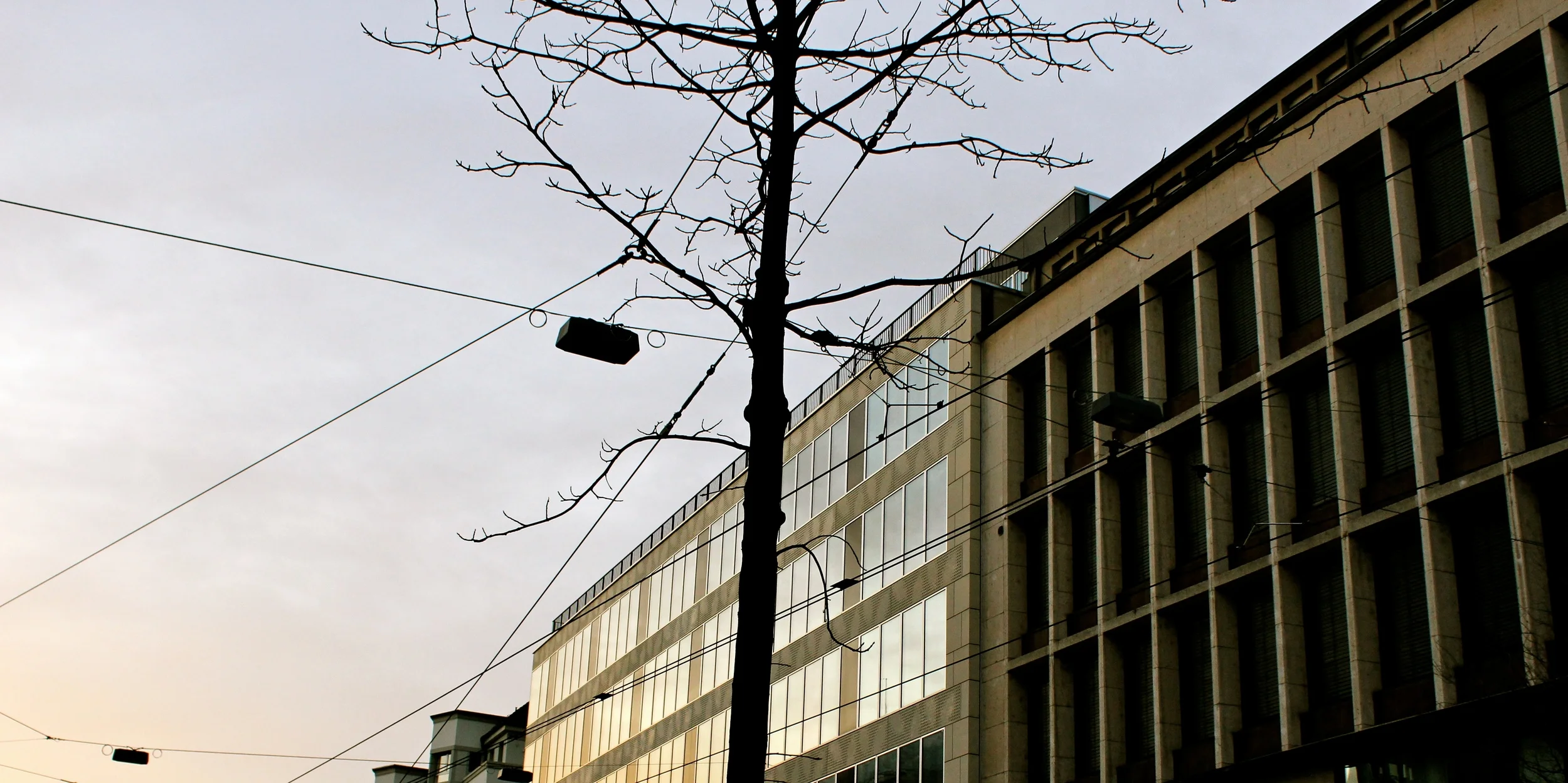 Internship Opportunities for Law Students