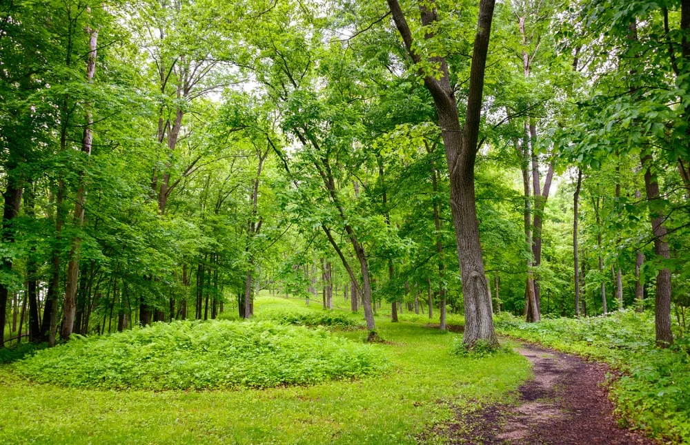Sacred Space The mounds preserved here are considered sacred by many Americans, especially the Monument's 20 culturally associated American Indian tribes. A visit offers opportunities to contemplate the meanings of the mounds and the people who built them. The 200 plus American Indian mounds are located in one of the most picturesque sections of the Upper Mississippi River Valley. For more information about visiting Effigy mounds National Monument. follow this link- http://www.nps.gov/efmo/index.htm