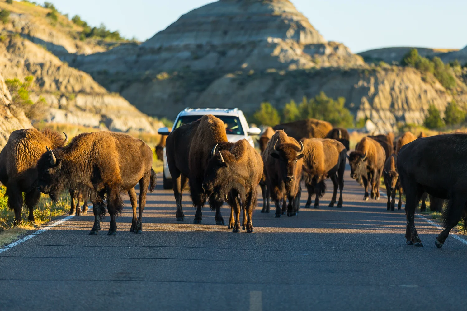 This is how they roll in North Dakota.....or stop you from rolling...