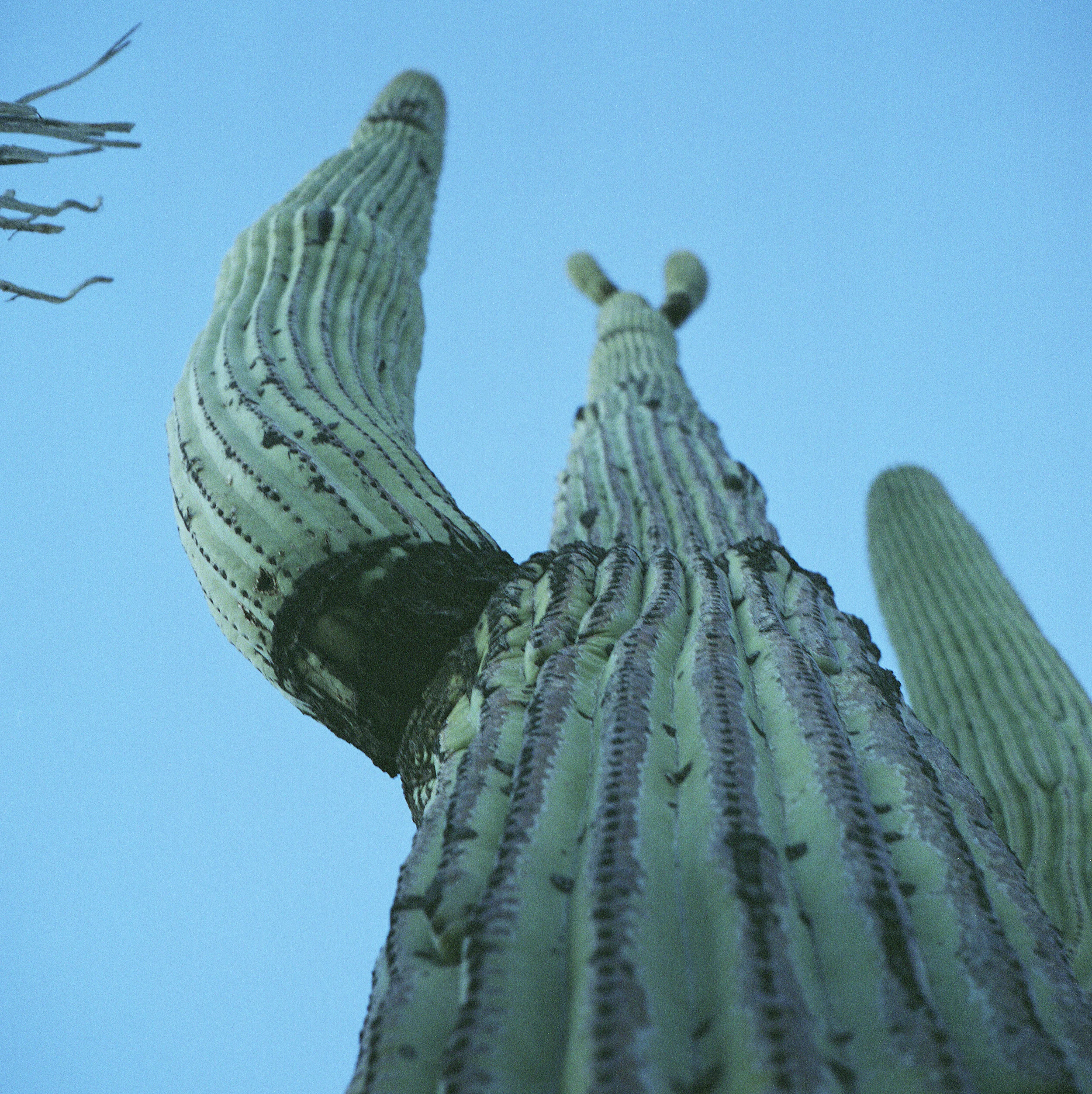120 Tucson, Arizona 2016