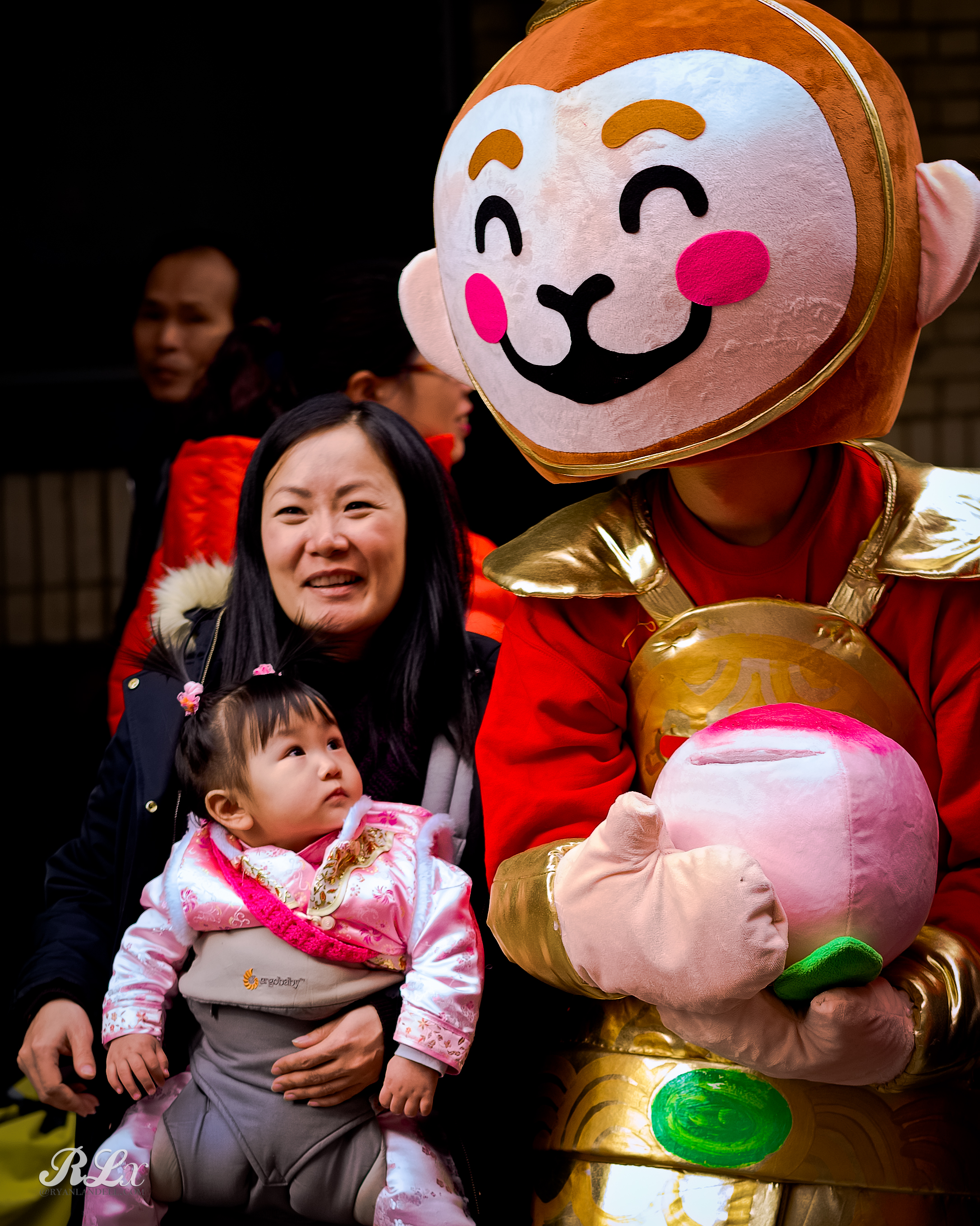 Baby_Monkey_King-2016Feb20.jpg
