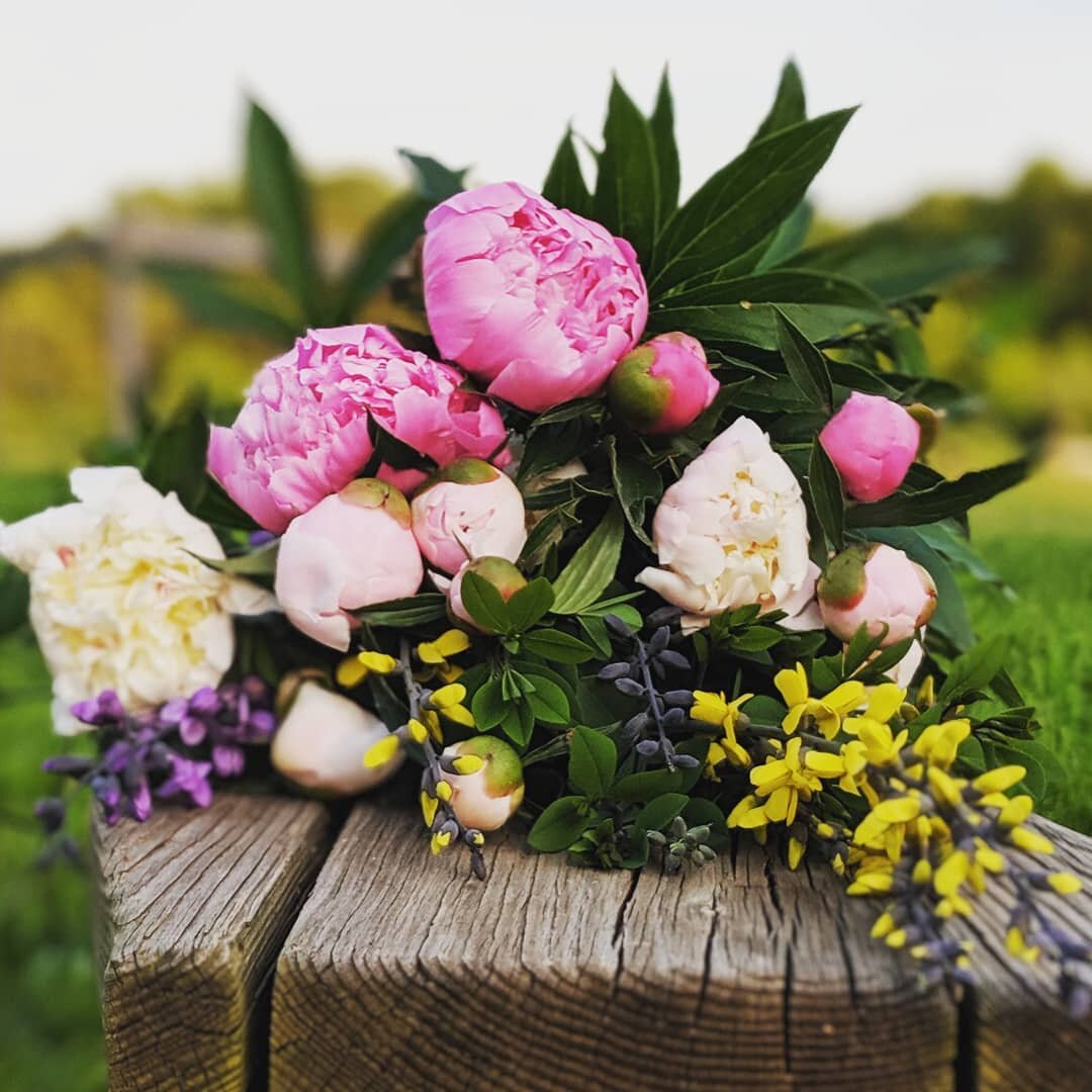 peony-table.jpg