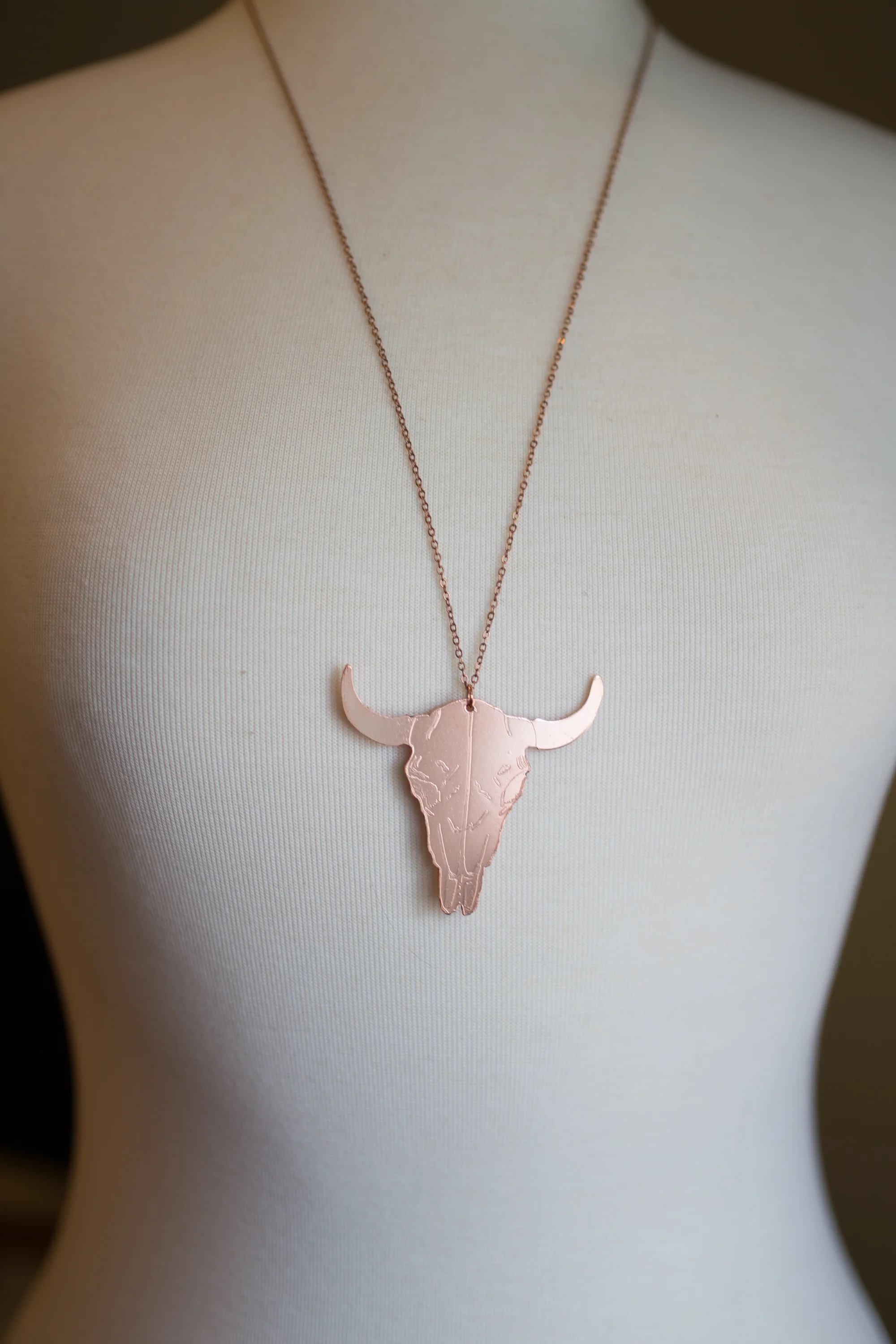 bisonskulls.jpg