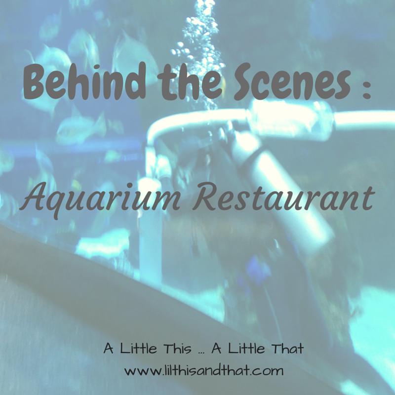 Aquarium Restaurant Tour in Nashville