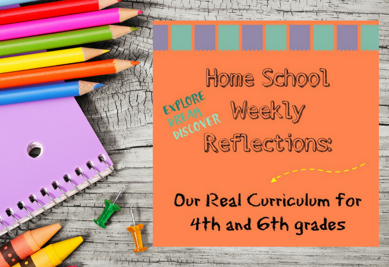 Our real homeschool curriculum for fourth and sixth grades