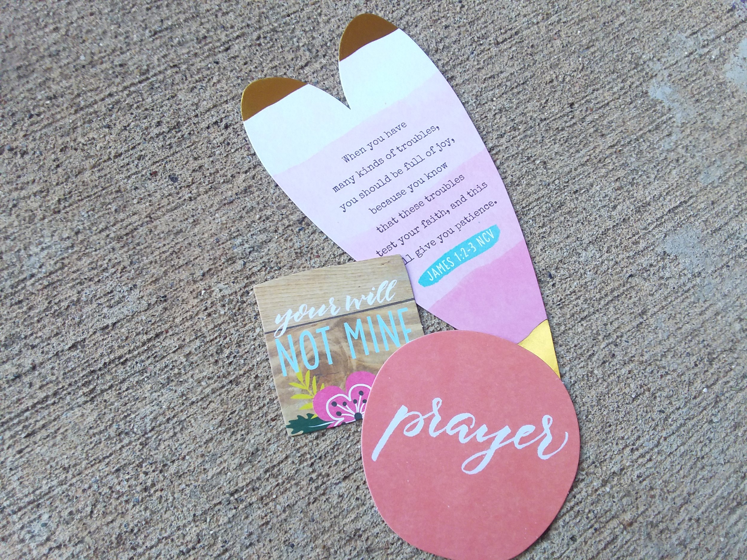Lovelies inside of the Illustrated Faith Persevere kit
