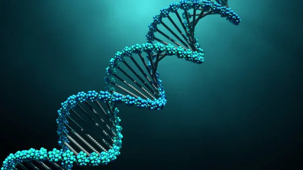 Genetic testing for hereditary cancer: why and how genetic counseling is a crucial part of the process