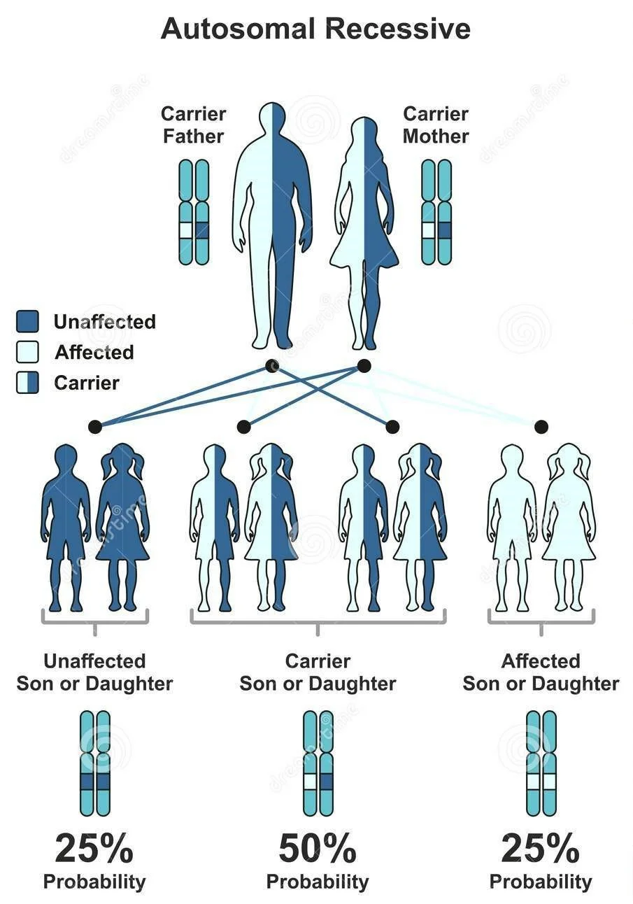 Consanguinity, Genetics and Art, Part 2