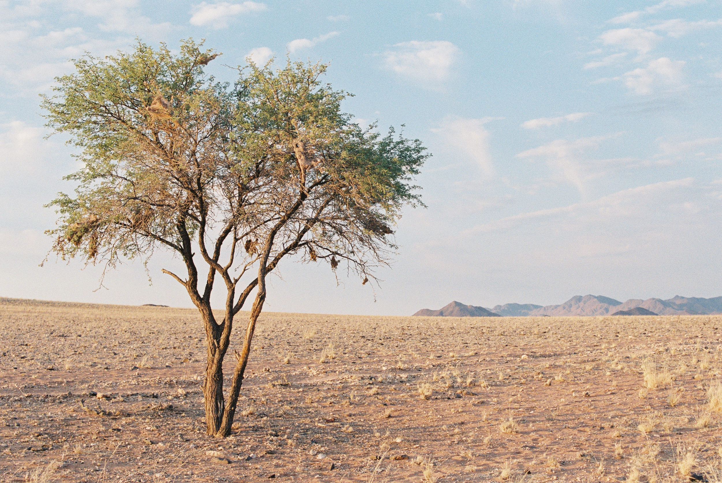 Namibia 