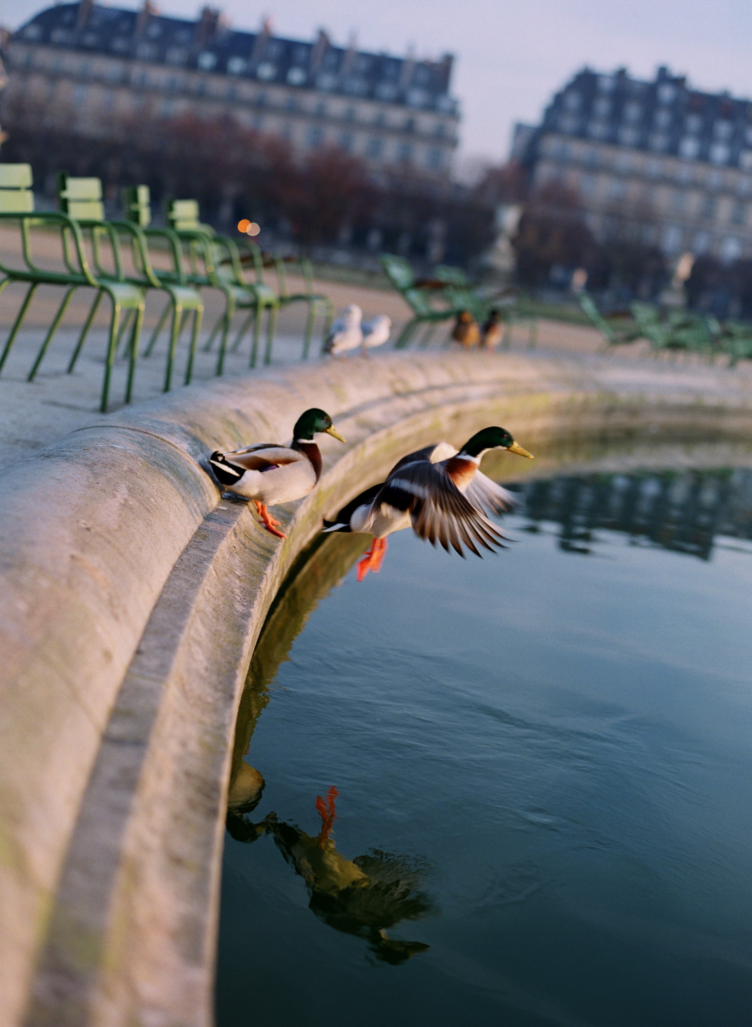 Winter in Paris