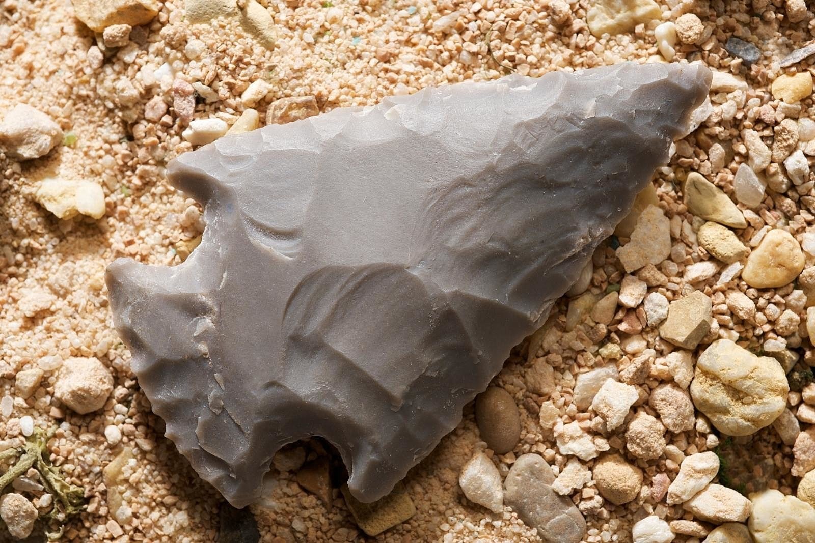 The Arrowheads