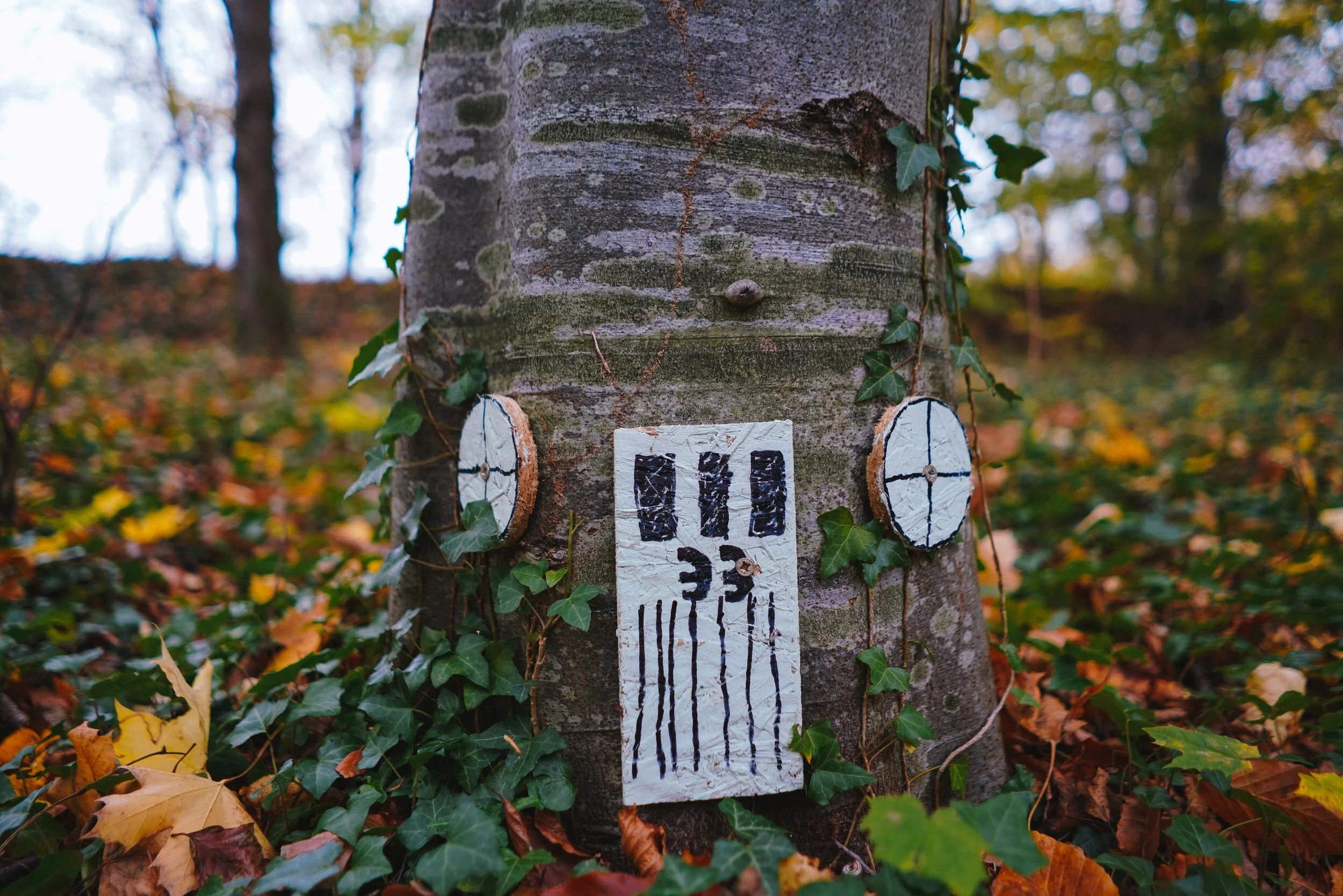 unsplash elf house