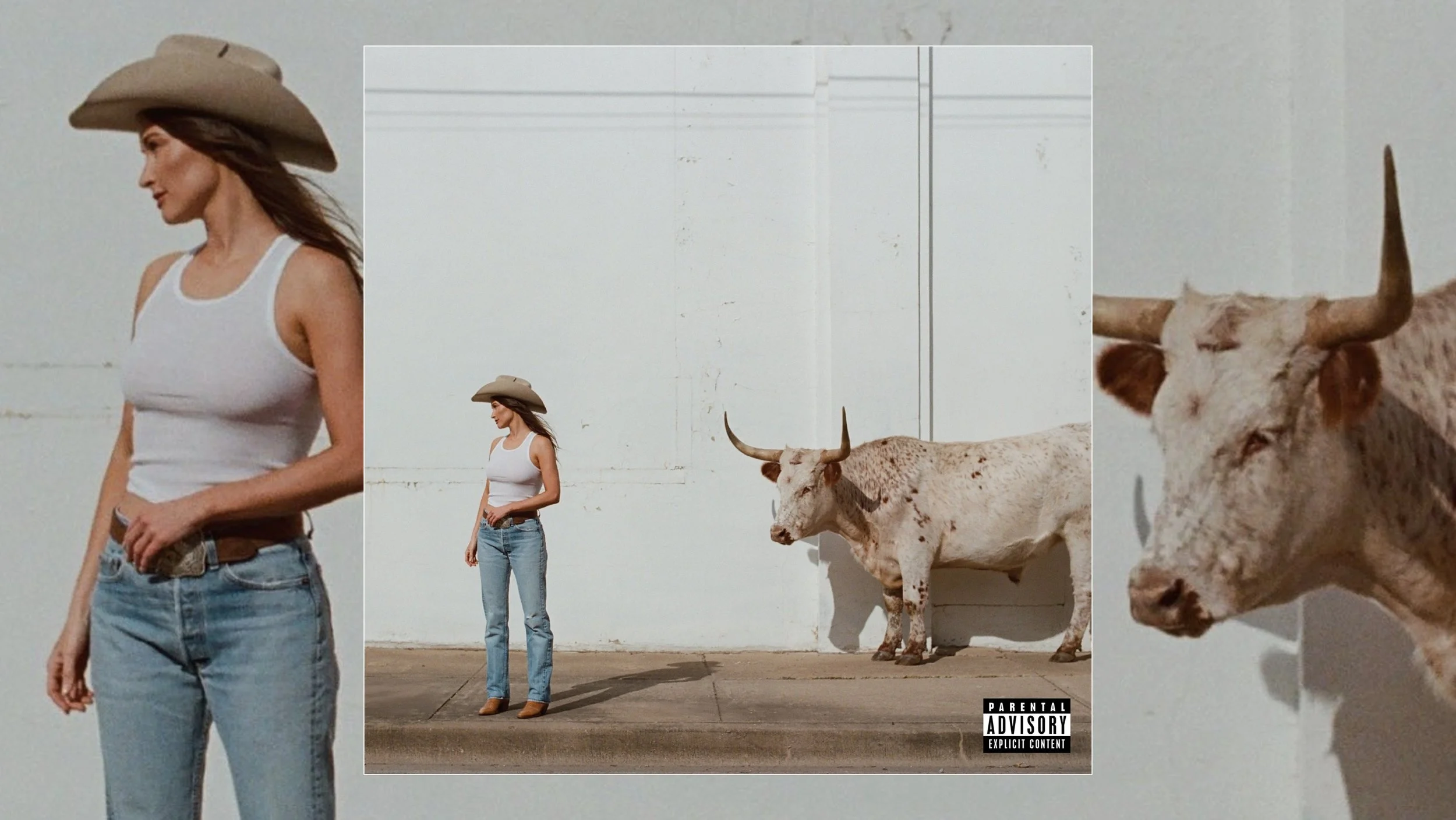 Kacey Musgraves Middle of Nowhere album review