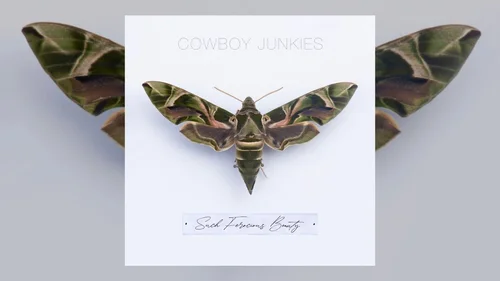 Cowboy Junkies - Such Ferocious Beauty (Vinyle Neuf)