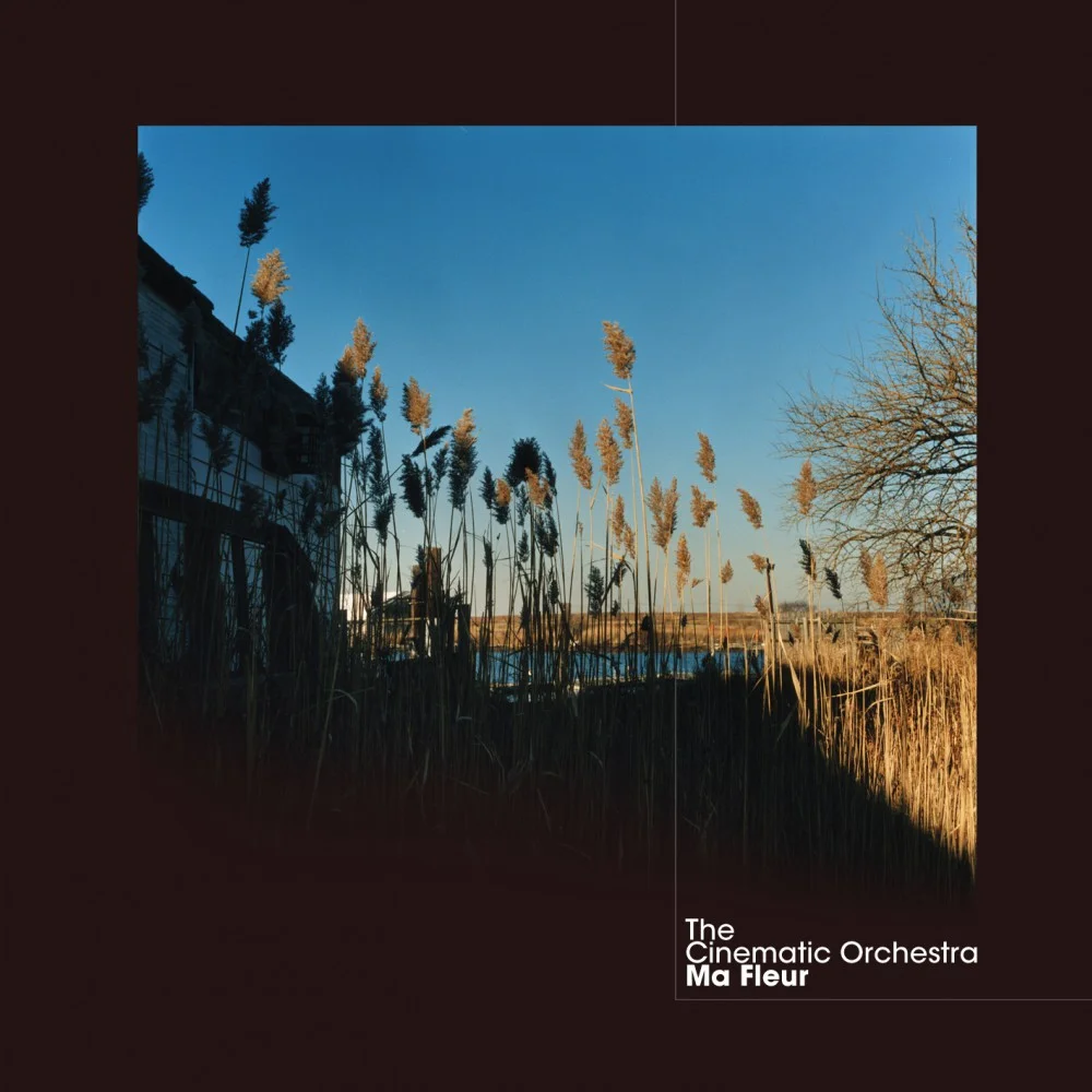 THE CINEMATIC ORCHESTRA | 'Ma Fleur'