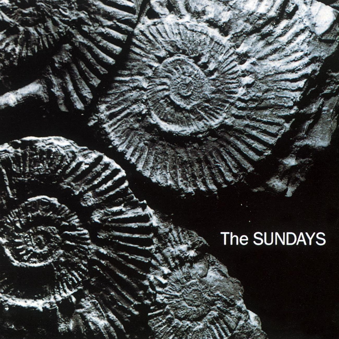 THE SUNDAYS | 'Reading, Writing And Arithmetic' LP