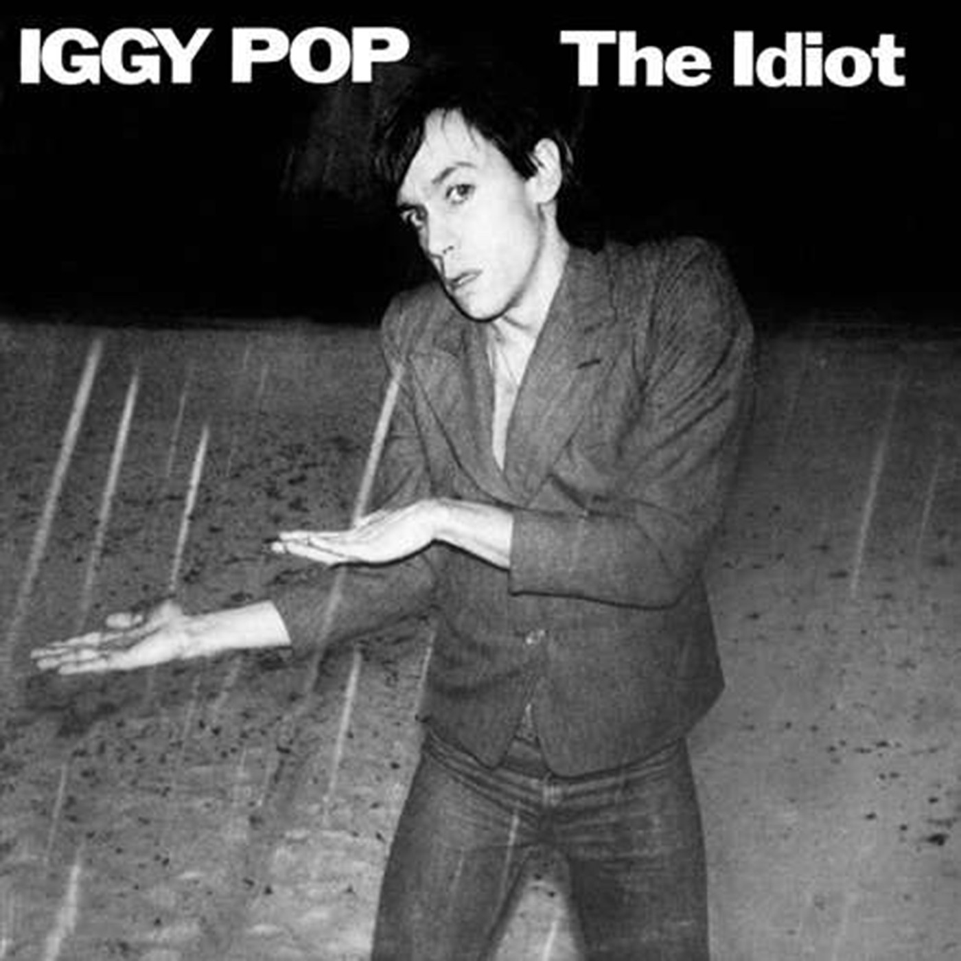 Iggy_Pop_The_Idiot.jpg