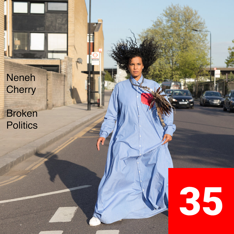 35_NenehCherry_BrokenPolitics.png