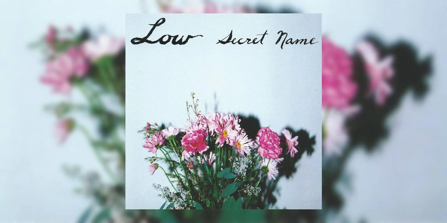Albumism_Low_SecretName_MainImage.jpg