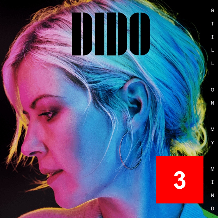 Albumism_03_Dido_StillOnMyMind.png