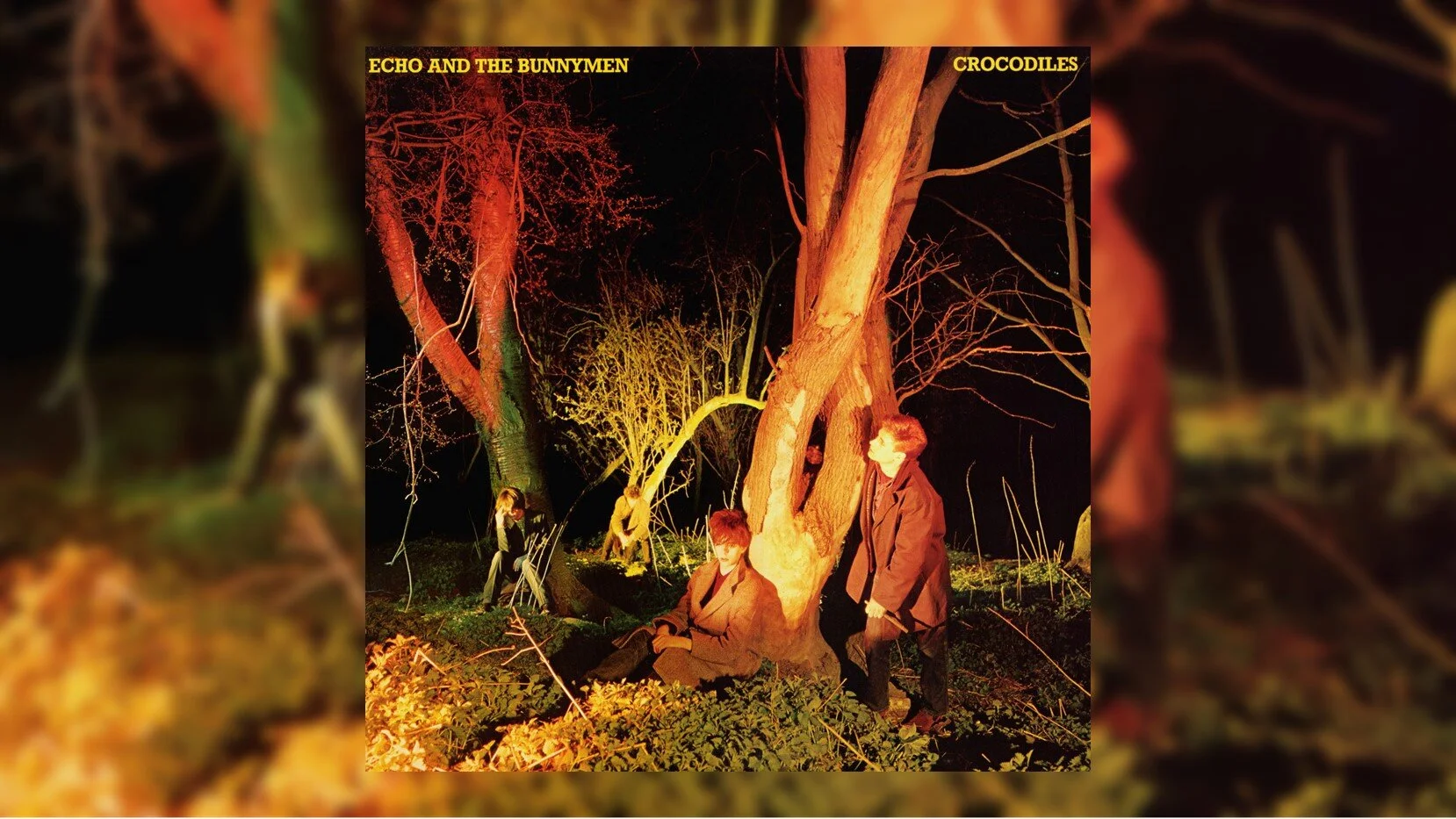 Celebrating 45 Years of Echo & The Bunnymen's Debut Album