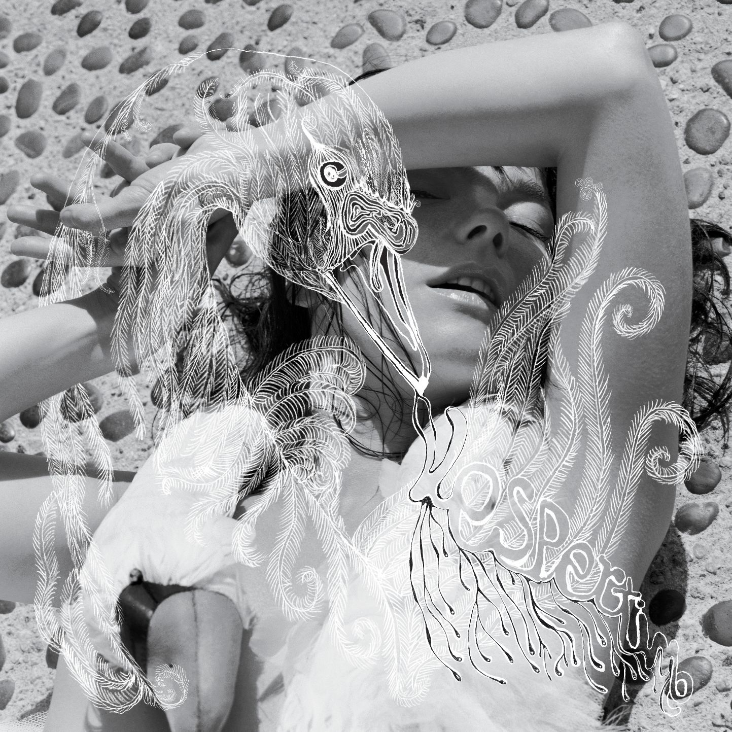 BJORK_Vespertine.png