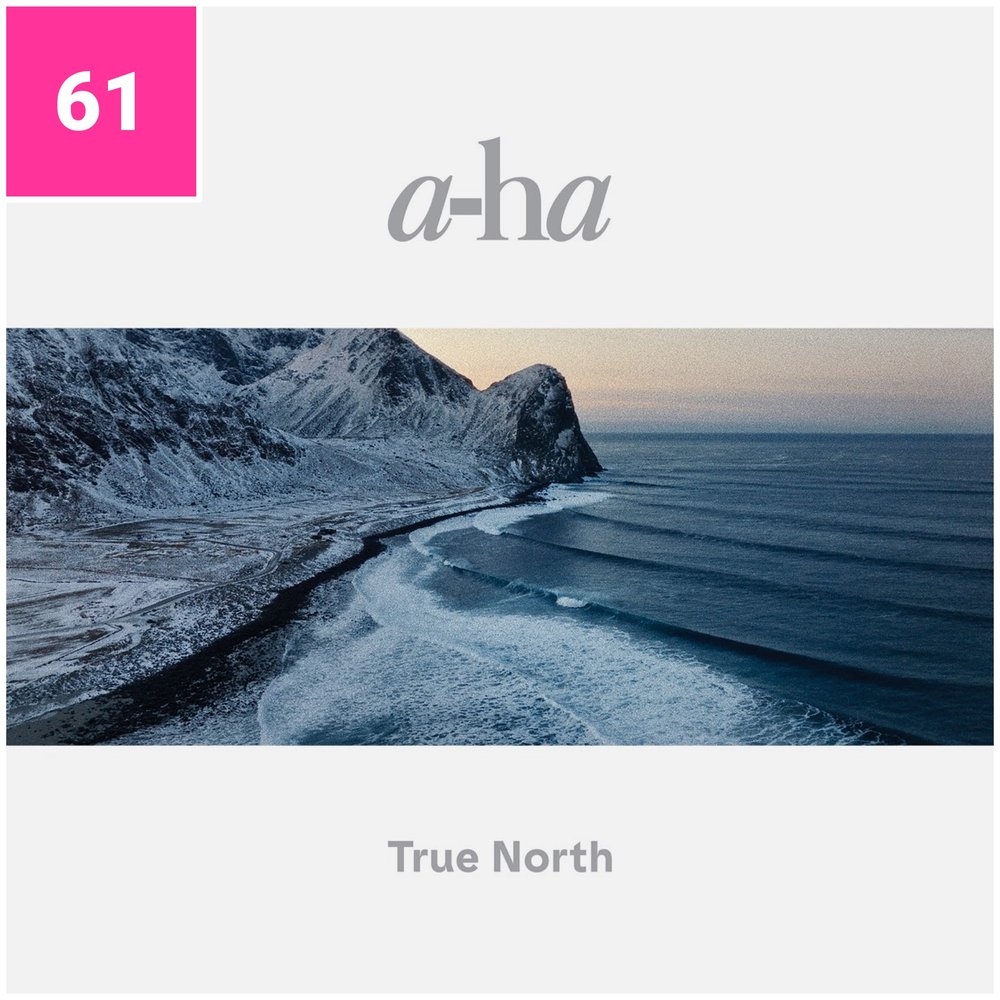 61_aha_TrueNorth.jpg