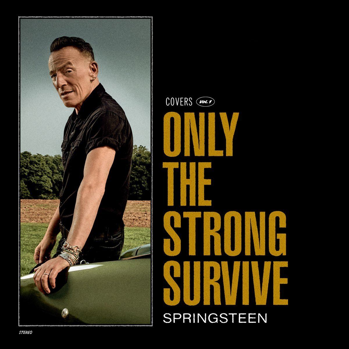 Bruce Springsteen | 'Only the Strong Survive'