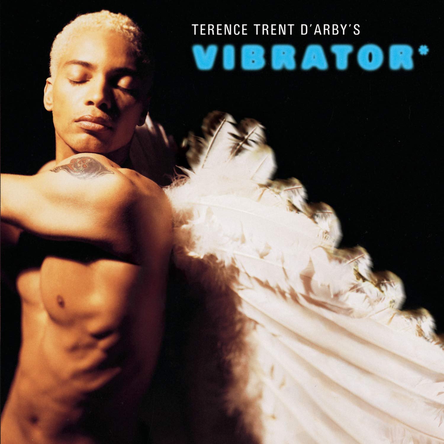 TerenceTrentDArby_Vibrator.jpg