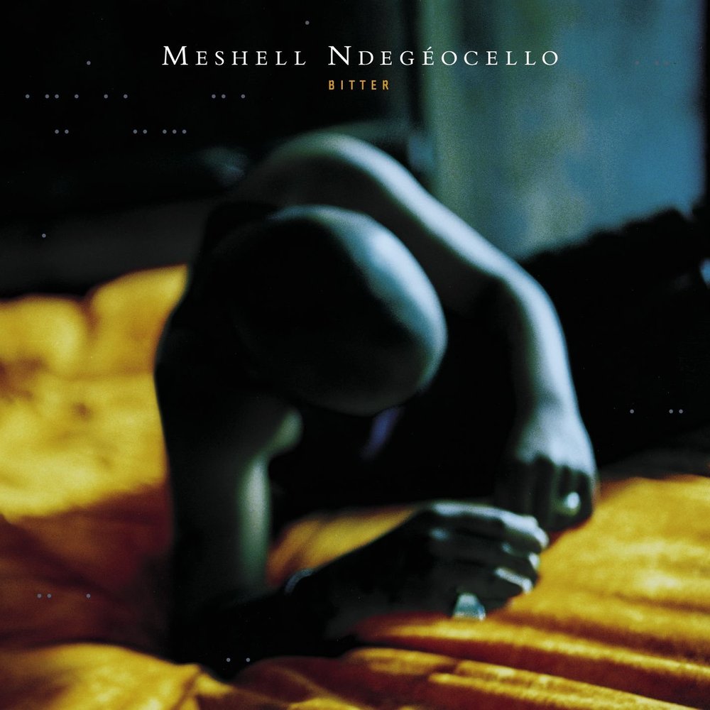 Ndegeocello_Meshell_Bitter.jpg