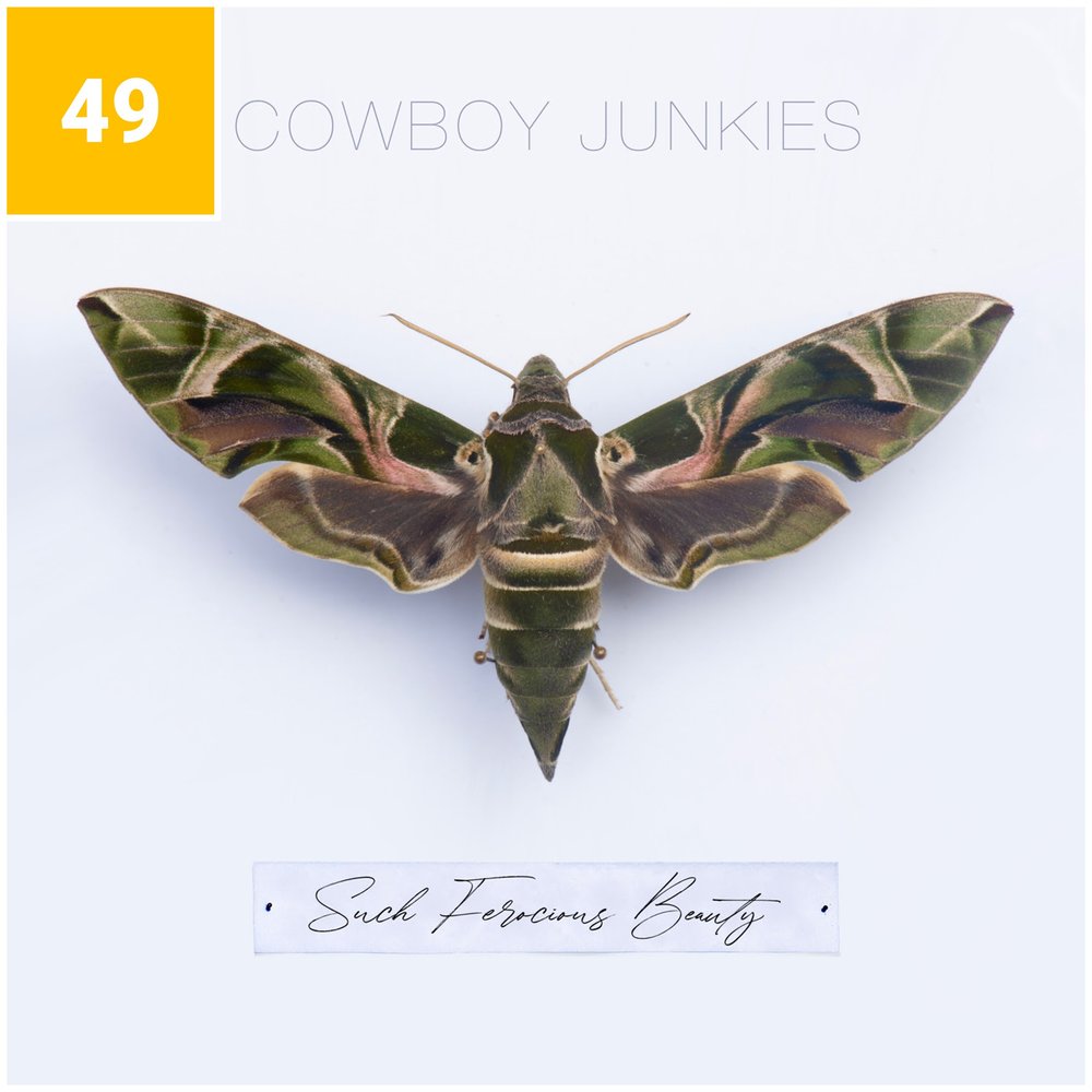 Albumism_49_CowboyJunkies_SuchFerociousBeauty_Square.jpg