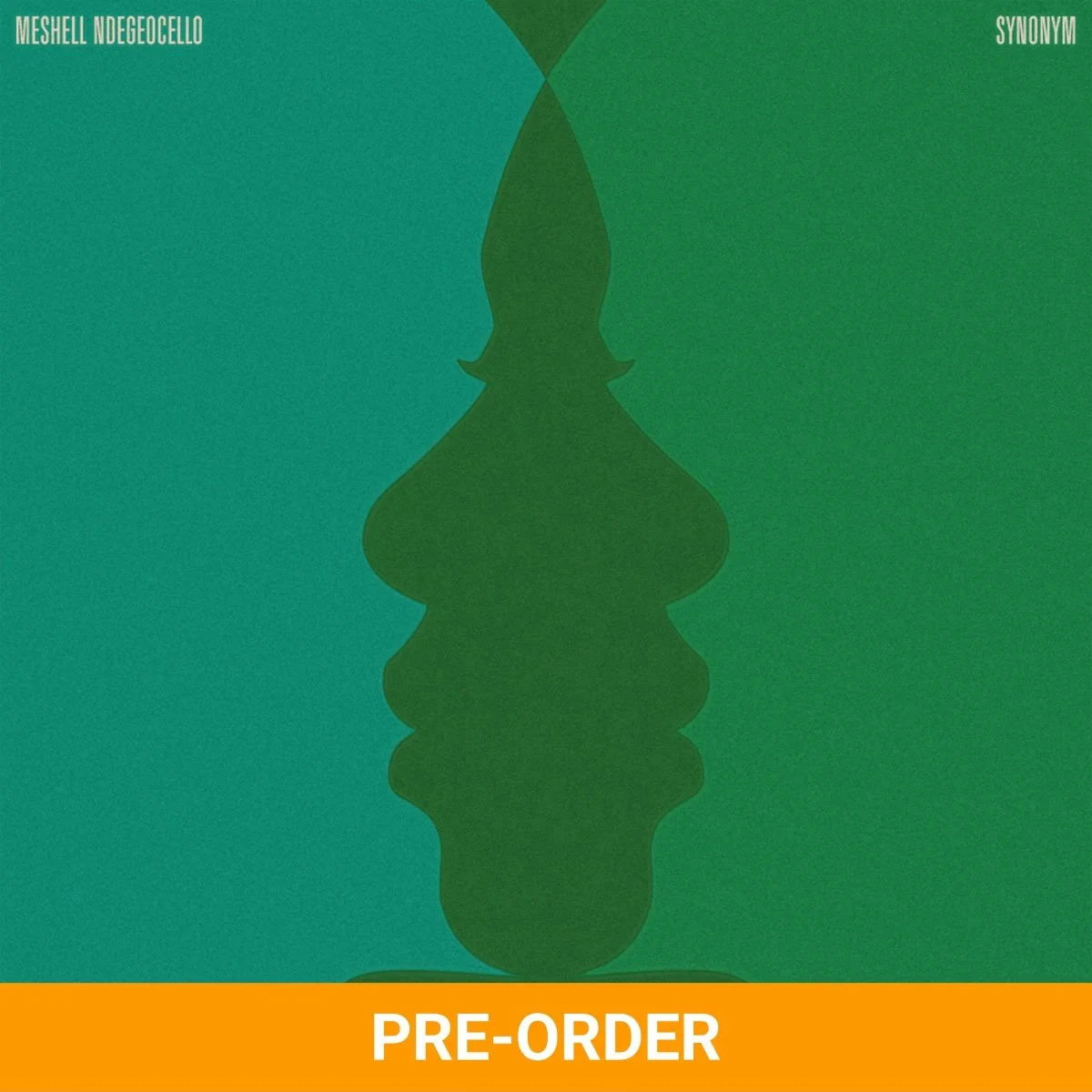 Meshell Ndegeocello | 'Synonym'