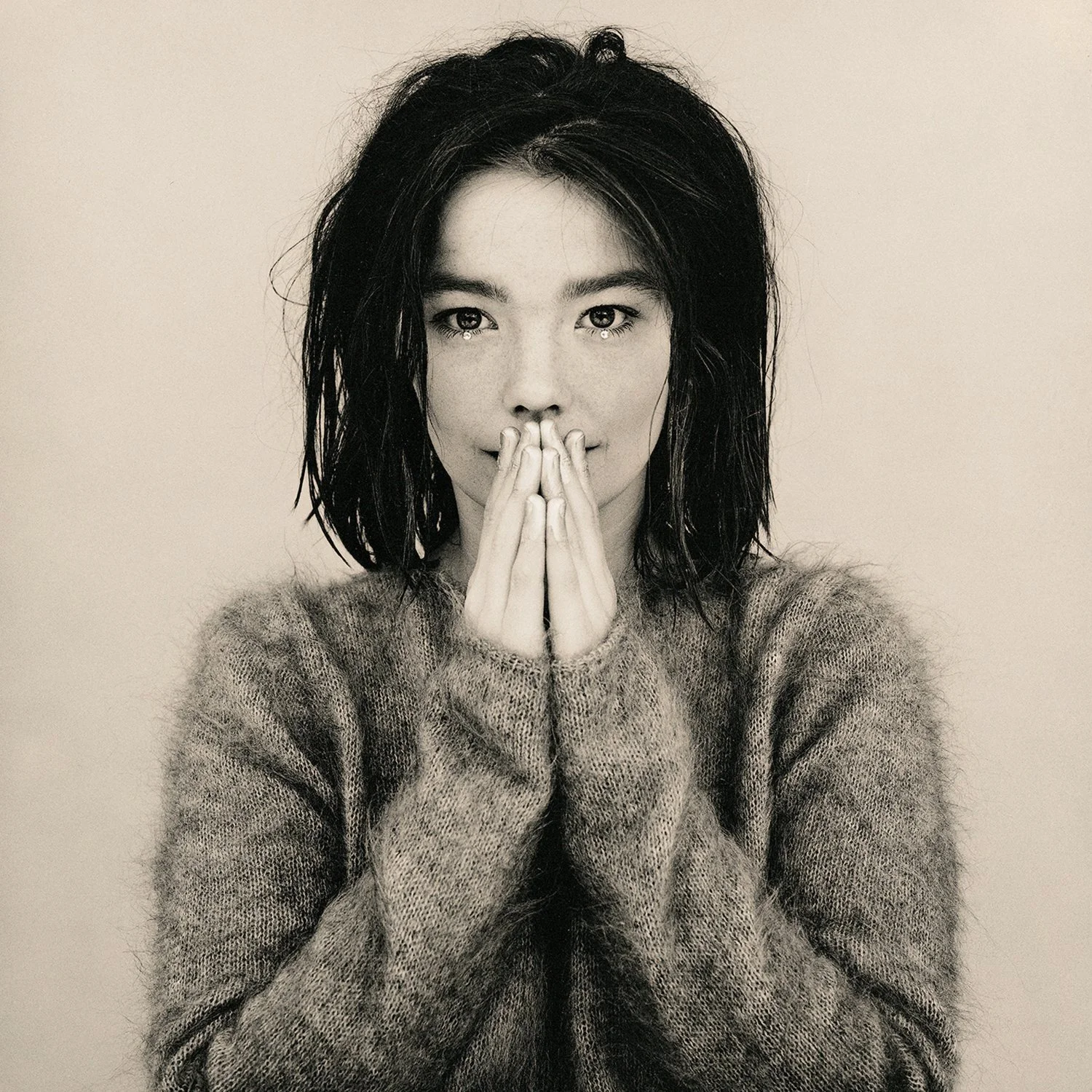 Bjork_Debut_1.jpg