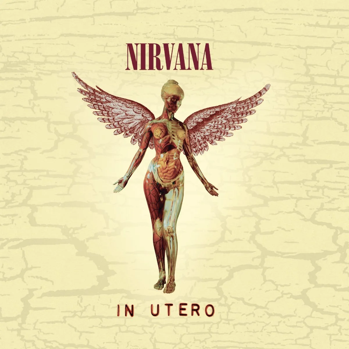 Nirvana_InUtero-Justin_alt.jpg