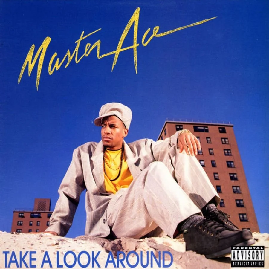 MastaAce_TakeALookAround.jpg