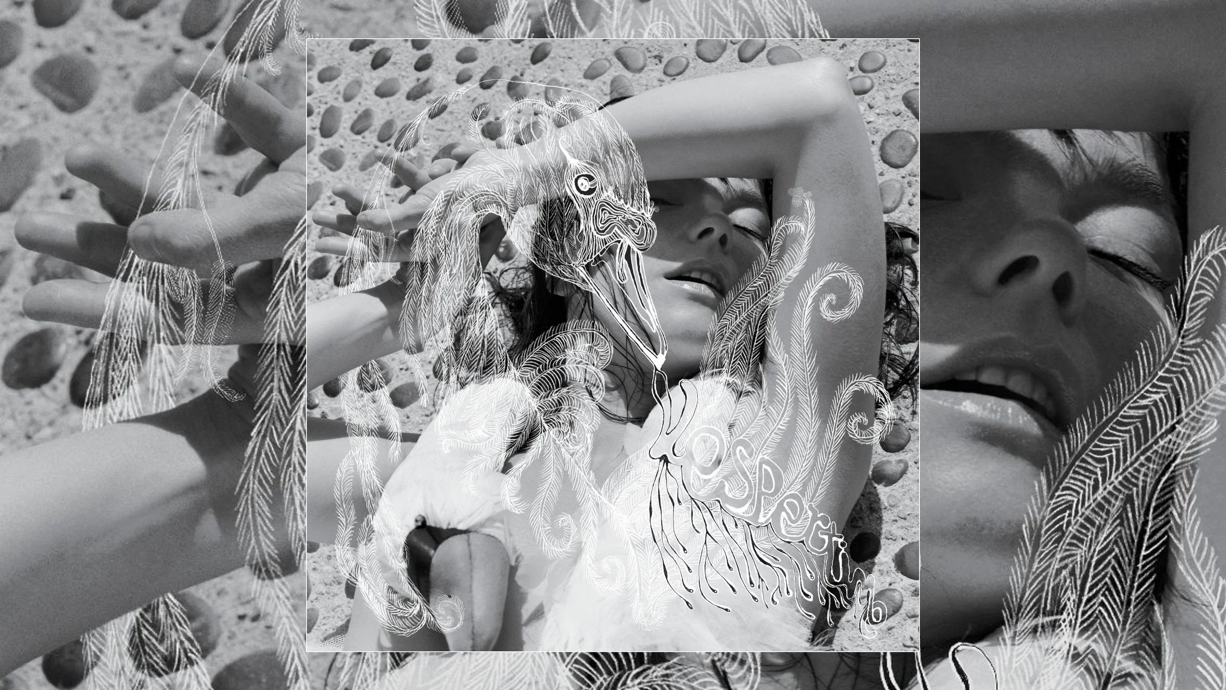 Björk Vespertine Turns 25