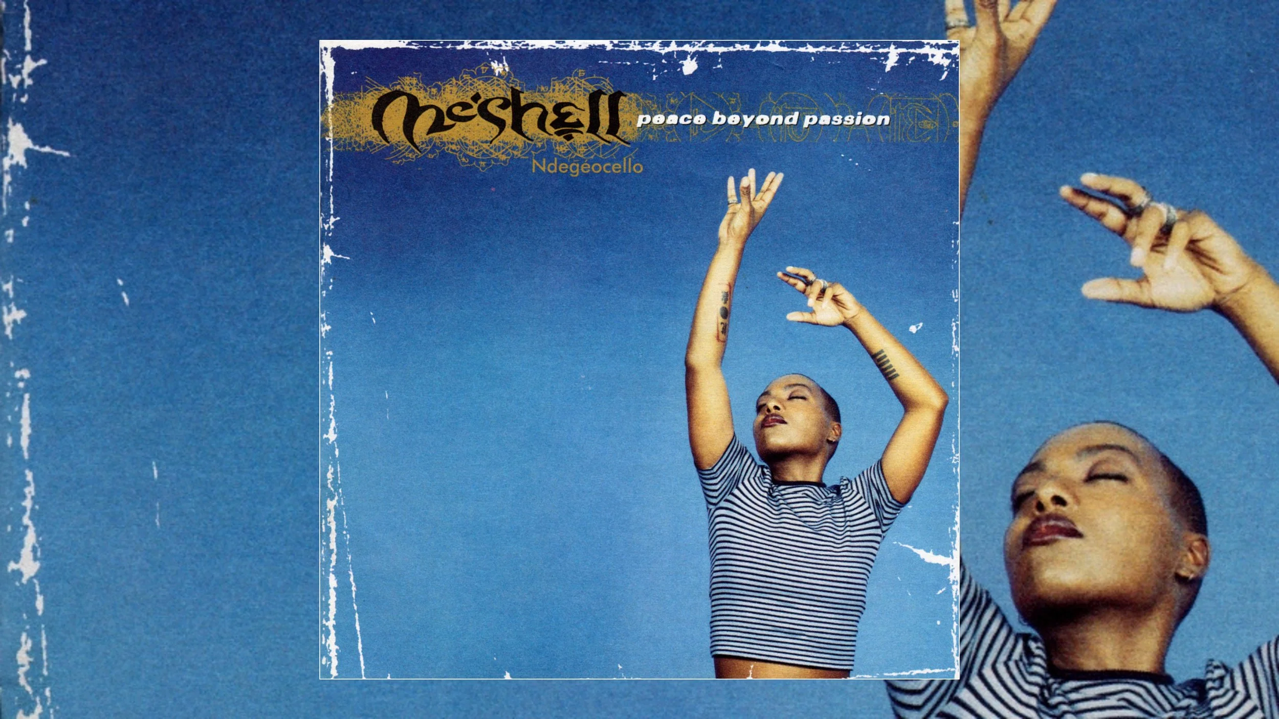 Meshell Ndegeocello Peace Beyond Passion Turns 30