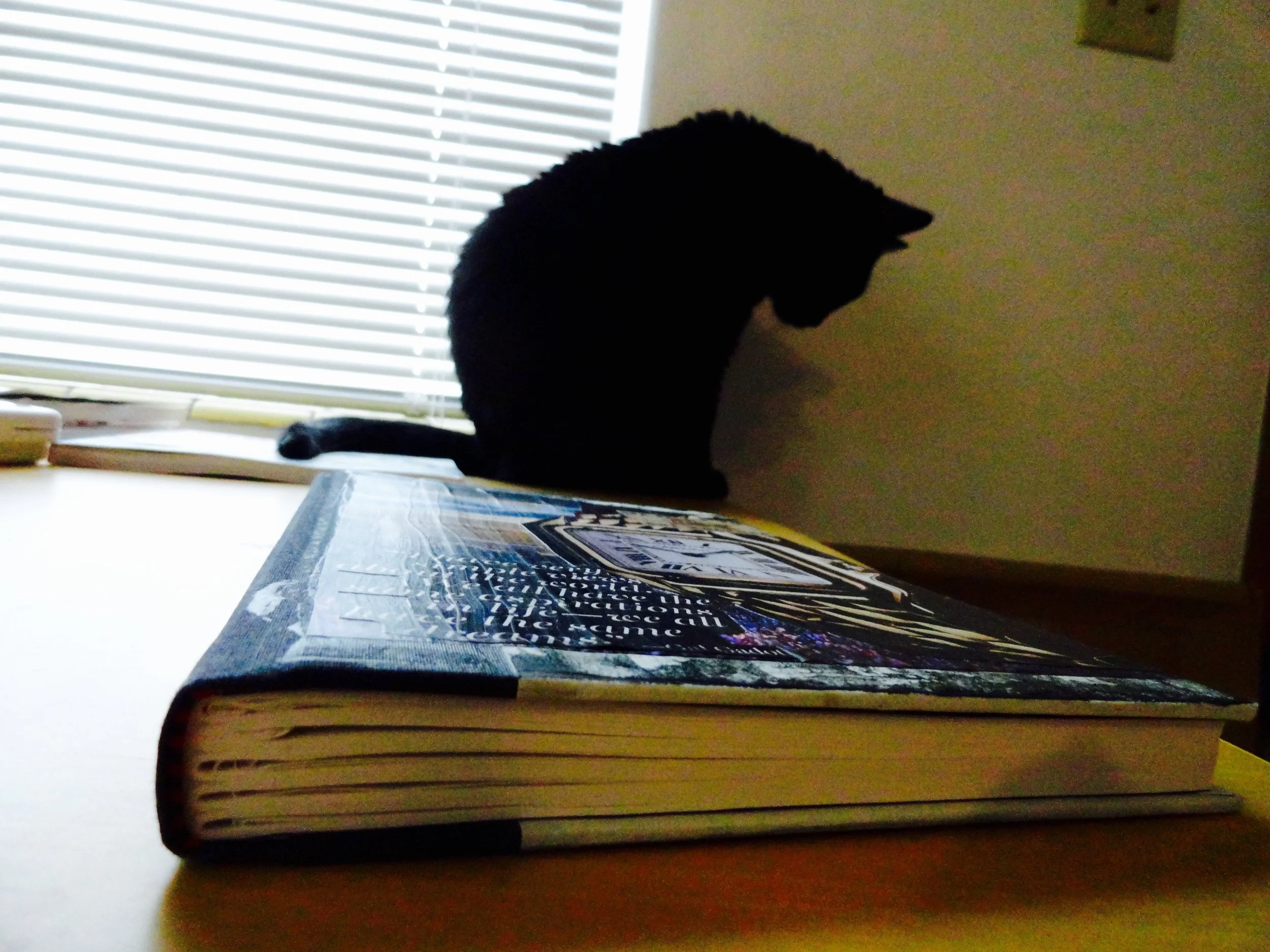 Indy and the new journal