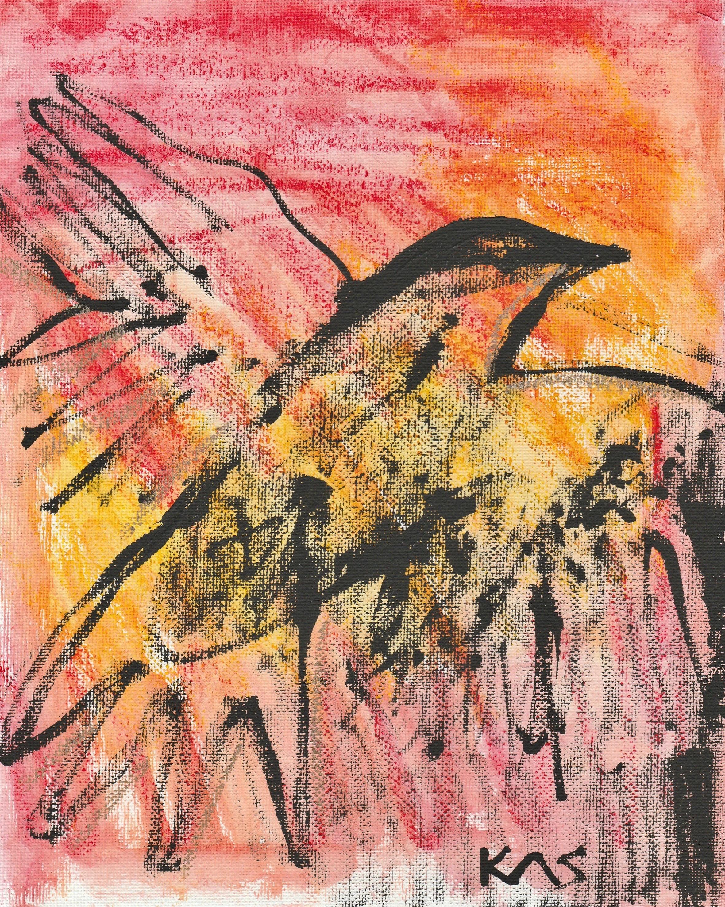 Crow by Kathryn Sturges
