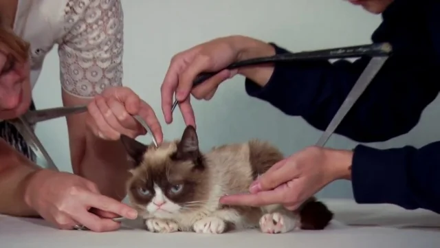 Grumpy endures Madame Tussauds' exacting measurement processes