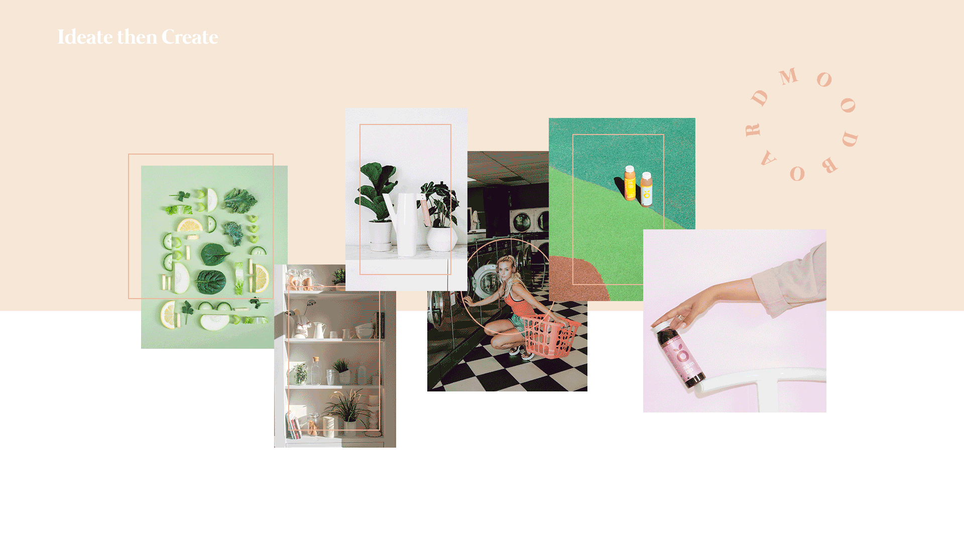 Plantcy-Motion-Files-33.gif
