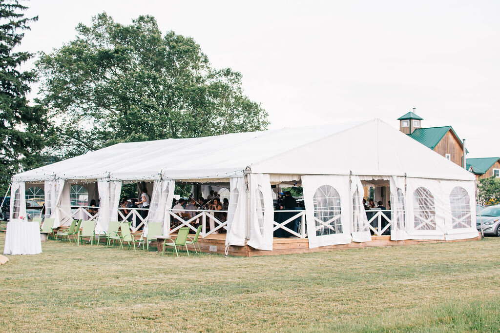 Toronto wedding photographers