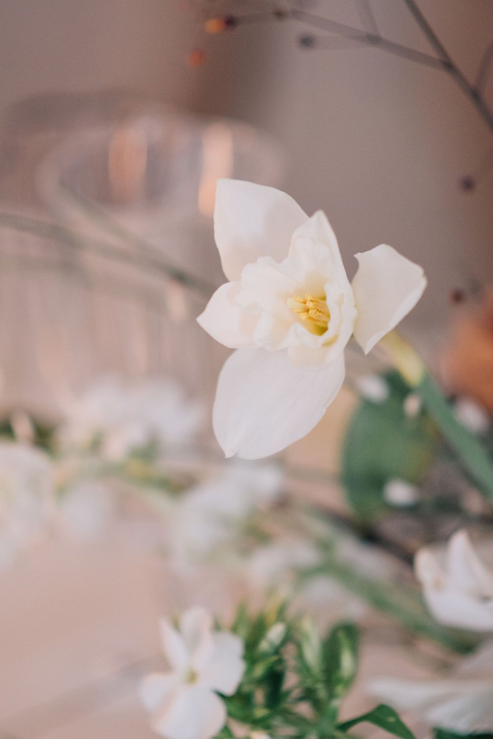 Elegant spring wedding reception in the heart of downtown Toronto photographed by Toronto wedding photographers, Ugo Photography